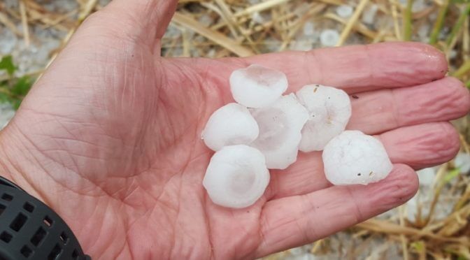 Agricoltura: finalmente novità nella gestione del rischio eventi climatici e nei rimborsi